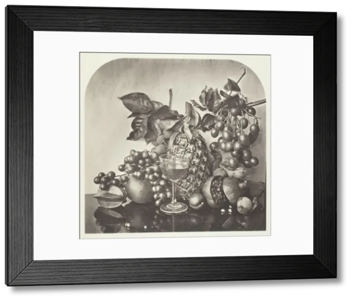 Framed Print : Fruit, c. 1868. Creator: John Thomson Framed Print : Fruit, c. 1868. Creator: John Thomson