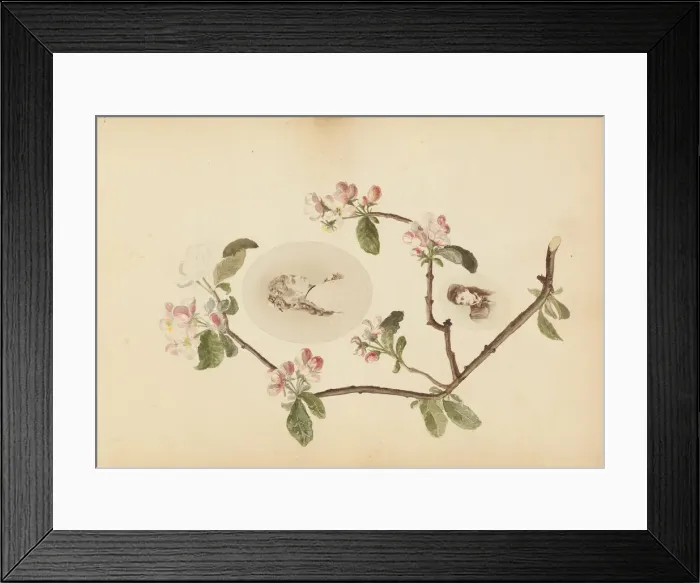 Framed Print : The Madame B Album, 1870s. Creator: Marie Blanche Hennelle Fournier Framed Print : The Madame B Album, 1870s. Creator: Marie Blanche Hennelle Fournier