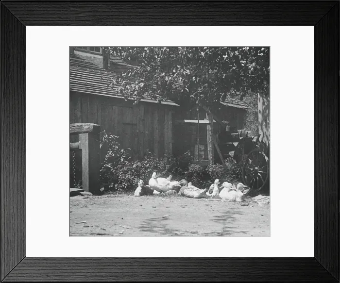 Framed Print : Gutach, 1894. Creator: Alfred Stieglitz Framed Print : Gutach, 1894. Creator: Alfred Stieglitz