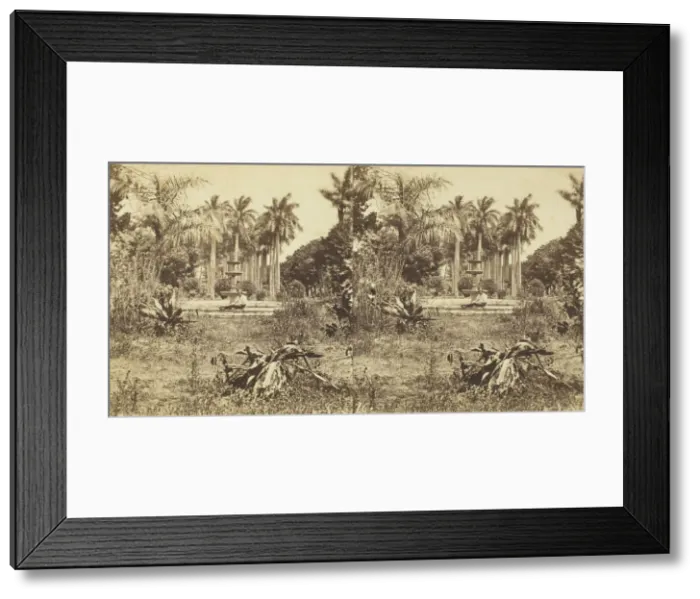 Framed Print : View at the Bishops Garden, Havana, 1860. Creator: Anthony & Company Framed Print : View at the Bishops Garden, Havana, 1860. Creator: Anthony & Company