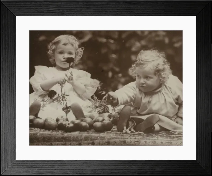 Framed Print : Nieces - Flora holding flower, and Hedwig, c. 1896. Creator: Alfred Stieglitz Framed Print : Nieces - Flora holding flower, and Hedwig, c. 1896. Creator: Alfred Stieglitz