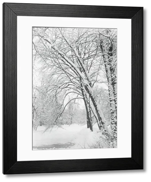 Framed Print : Snowscape, Berlin, 1888 / 92. Creator: Alfred Stieglitz Framed Print : Snowscape, Berlin, 1888 / 92. Creator: Alfred Stieglitz