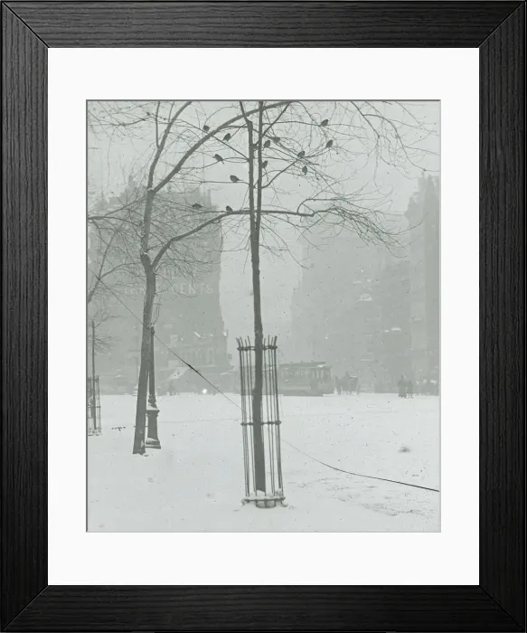 Framed Print : Tree in Snow, New York City, 1900 / 02. Creator: Alfred Stieglitz Framed Print : Tree in Snow, New York City, 1900 / 02. Creator: Alfred Stieglitz