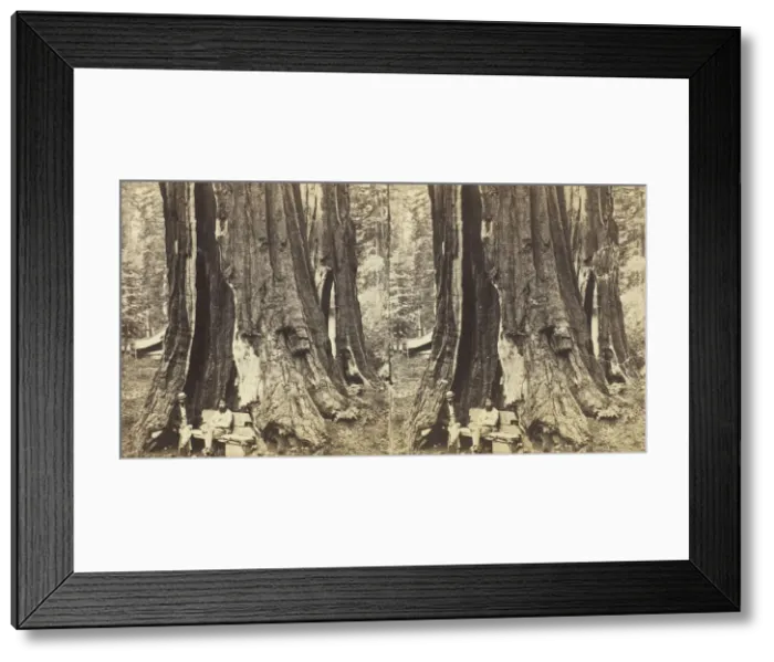 Framed Print : Key Stone State, 1870 / 71. Creator: Anthony & Company Framed Print : Key Stone State, 1870 / 71. Creator: Anthony & Company