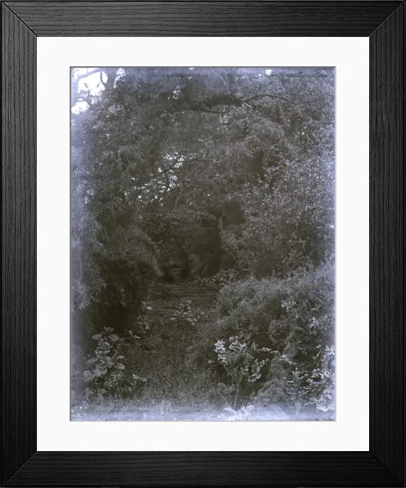 Framed Print : United States Fish Commission Steamer Albatross