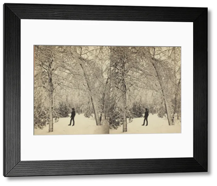 Framed Print : View on Goat Island, 1869 / 73. Creator: Anthony & Company Framed Print : View on Goat Island, 1869 / 73. Creator: Anthony & Company
