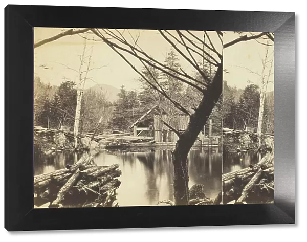 The Mill Pond near Laurel House, 1869  /  1901. Creator: Anthony & Company