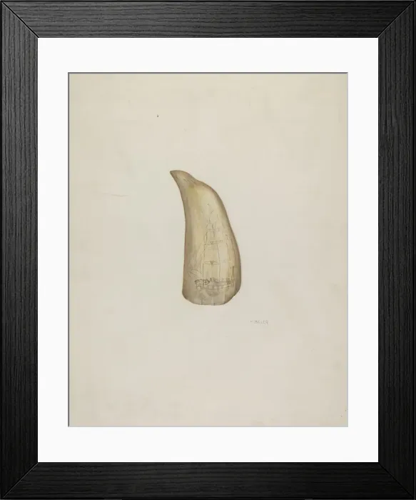 Framed Print : Scrimshaw, c. 1937. Creator: Edith Miller Framed Print : Scrimshaw, c. 1937. Creator: Edith Miller