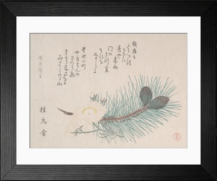 Framed Print : Pines and Cherry Blossoms, probably 1814. Creator: Kubo Shunman Framed Print : Pines and Cherry Blossoms, probably 1814. Creator: Kubo Shunman