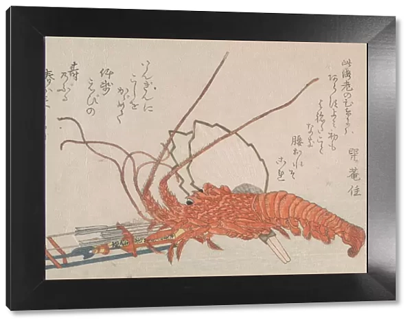 Lobster, Hamayumi (Ceremonial Miniature Bow) with Arrows and Fans, 18th-19th century