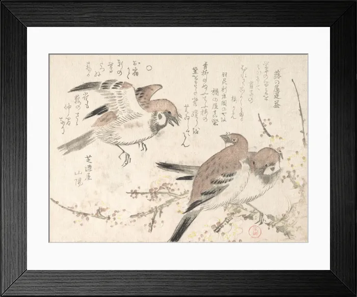 Framed Print : Sparrows and Plum Blossoms, 19th century. Creator: Kubo Shunman Framed Print : Sparrows and Plum Blossoms, 19th century. Creator: Kubo Shunman