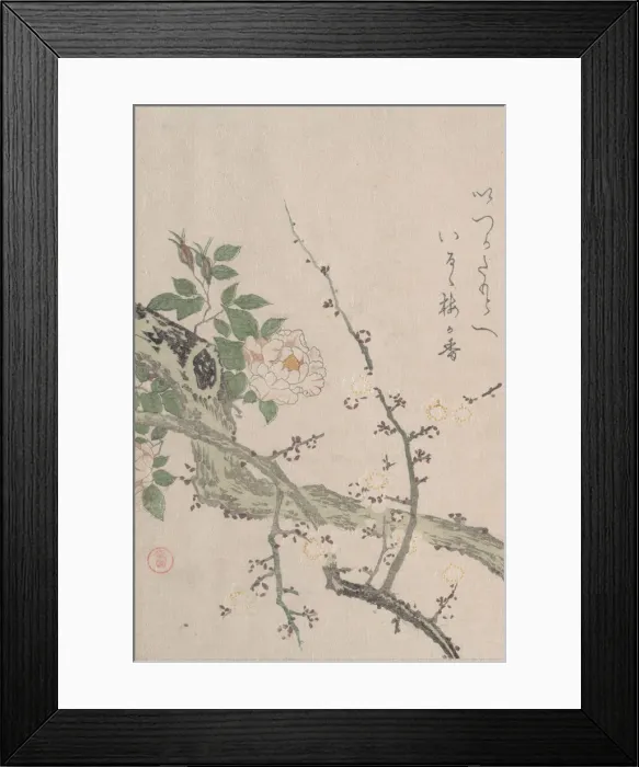 Framed Print : Roses and Plum Blossoms, 19th century. Creator: Kubo Shunman Framed Print : Roses and Plum Blossoms, 19th century. Creator: Kubo Shunman