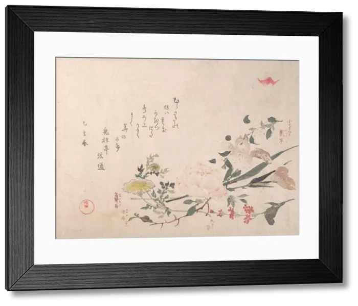 Framed Print : Rose, Iris, Primrose and Daisy, 1815. Creator: Kubo Shunman Framed Print : Rose, Iris, Primrose and Daisy, 1815. Creator: Kubo Shunman