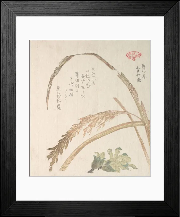 Framed Print : Rice Plant and Butter-Burs, 19th century. Creator: Kubo Shunman Framed Print : Rice Plant and Butter-Burs, 19th century. Creator: Kubo Shunman