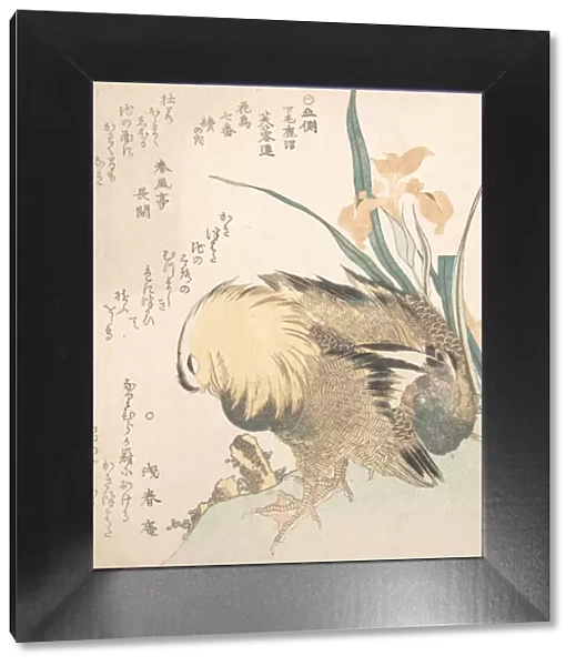 Pair of Mandarin Ducks and Iris Flowers, late 18th-early 19th century