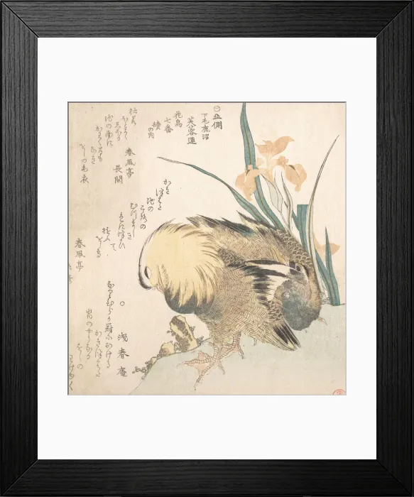Framed Print : Pair of Mandarin Ducks and Iris Flowers, late 18th-early 19th century