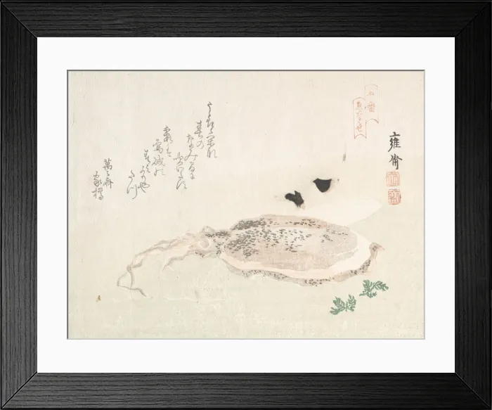 Framed Print : Cuttle Fish, early 19th century. Creator: Kikuchi Yosai Framed Print : Cuttle Fish, early 19th century. Creator: Kikuchi Yosai