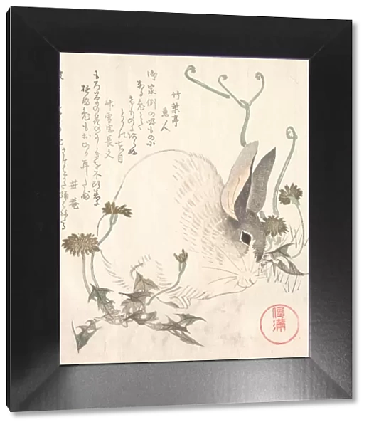 Hare and Dandelion?, probably 1820. Creator: Kubo Shunman
