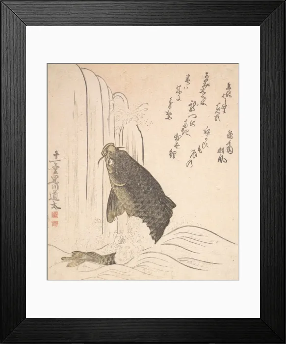 Framed Print : Carp Trying to Swim up a Waterfall, probably 1820. Creator: Kurokawa Michita Framed Print : Carp Trying to Swim up a Waterfall, probably 1820. Creator: Kurokawa Michita