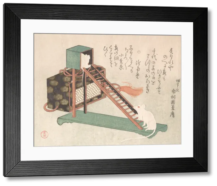 Framed Print : White Mice Playing, probably 1816. Creator: Kubo Shunman Framed Print : White Mice Playing, probably 1816. Creator: Kubo Shunman