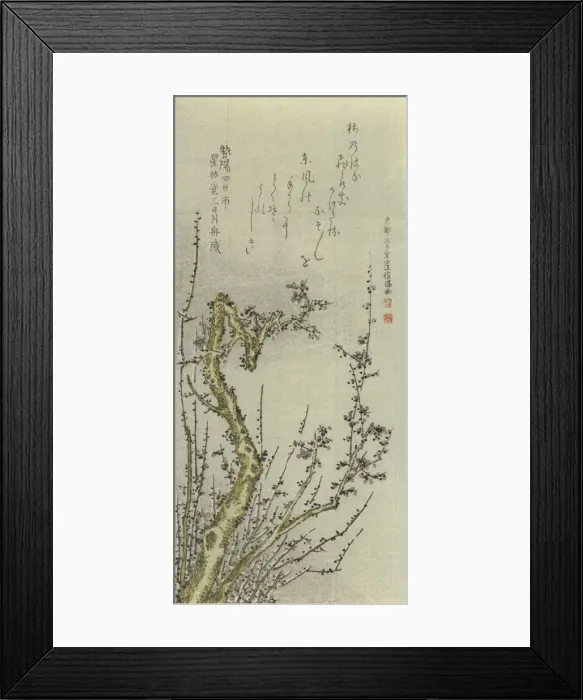 Framed Print : Old Plum Tree, 1796. Creator: Kubo Shunman Framed Print : Old Plum Tree, 1796. Creator: Kubo Shunman