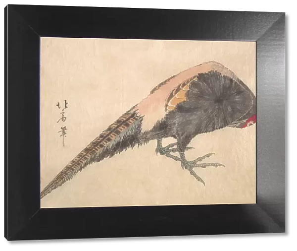 Bird, 1830s. Creator: Hakusanjin Hokui