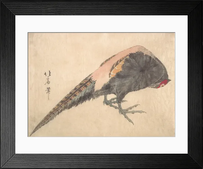Framed Print : Bird, 1830s. Creator: Hakusanjin Hokui Framed Print : Bird, 1830s. Creator: Hakusanjin Hokui