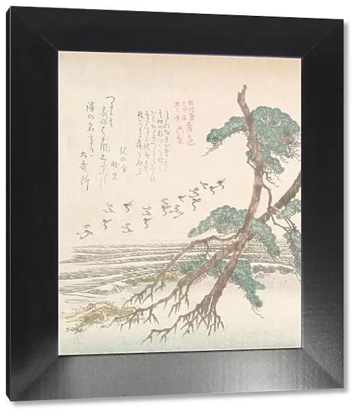 Sea-Side Landscape with Pine Trees and Flying Cranes, 19th century. Creator: Kubo Shunman