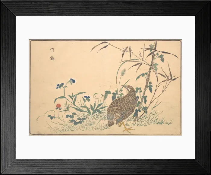 Framed Print : Zhu ji, 1789. Creator: Kitao Masayoshi Framed Print : Zhu ji, 1789. Creator: Kitao Masayoshi