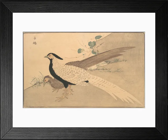 Framed Print : Bai xian, 1789. Creator: Kitao Masayoshi Framed Print : Bai xian, 1789. Creator: Kitao Masayoshi