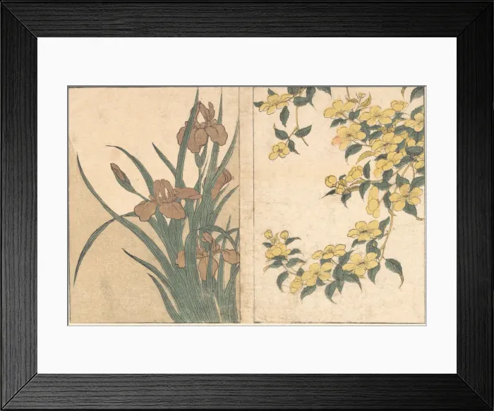 Framed Print : Cherry Blossoms and Irises, from the illustrated book Flowers of the Four Seasons, 1801