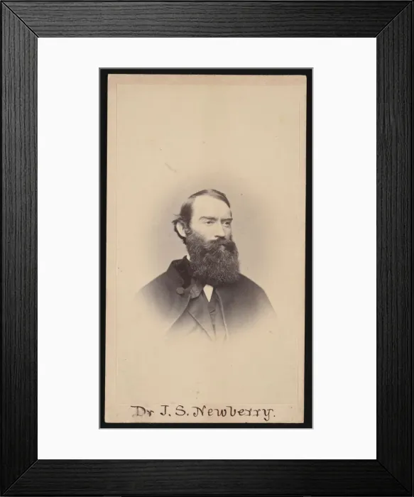 Framed Print : Portrait of John Strong Newberry (1822-1892), Before 1887. Creator: Unknown Framed Print : Portrait of John Strong Newberry (1822-1892), Before 1887. Creator: Unknown
