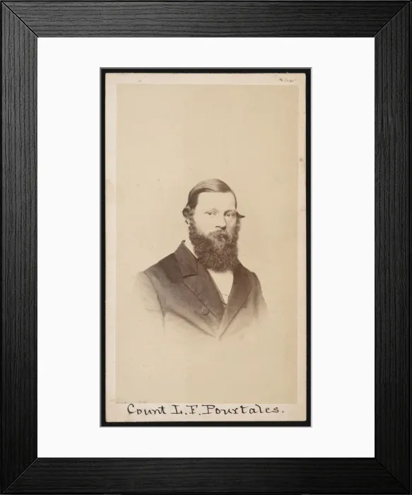 Framed Print : Portrait of Louis Francois de Pourtales (1824-1880), Before 1880. Creator: Unknown Framed Print : Portrait of Louis Francois de Pourtales (1824-1880), Before 1880. Creator: Unknown