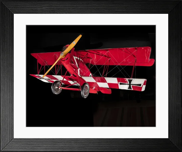 Framed Print : Pfalz D. XII, 1918. Creator: Pfalz Flugzeug Werke A. G Framed Print : Pfalz D. XII, 1918. Creator: Pfalz Flugzeug Werke A. G