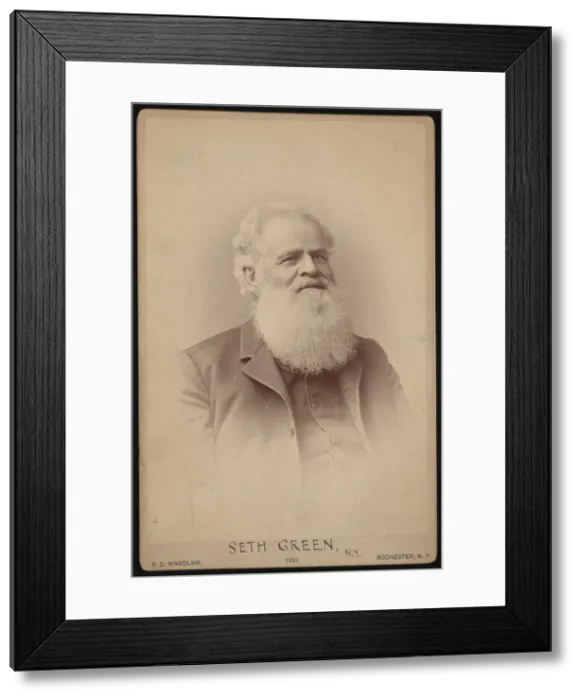 Framed Print : Portrait of Seth Green (1817-1888), 1886. Creator: Samuel D Wardlaw Framed Print : Portrait of Seth Green (1817-1888), 1886. Creator: Samuel D Wardlaw