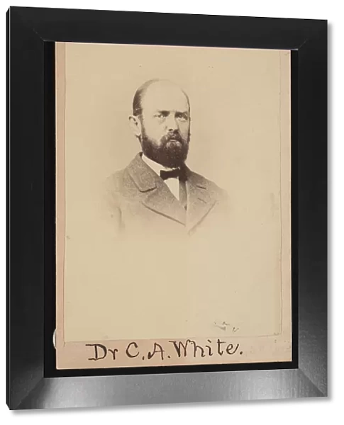 Portrait of Charles Abiathar White (1826-1910), 1868. Creator: Isaac Augustus Wetherby
