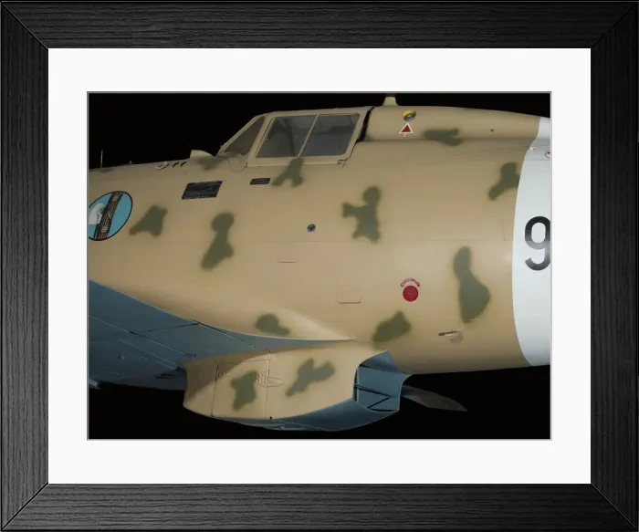Framed Print : Aeronautica Macchi C. 202 Folgore, 1940s. Creator: Macchi S. A