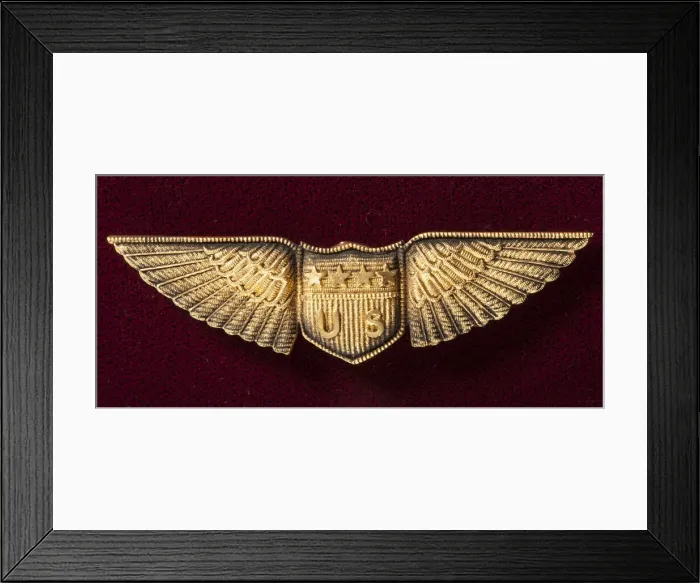 Framed Print : Miltary Aviator Badge, United States Army Air Service, ca. 1918-1926. Creator: Unknown Framed Print : Miltary Aviator Badge, United States Army Air Service, ca. 1918-1926. Creator: Unknown