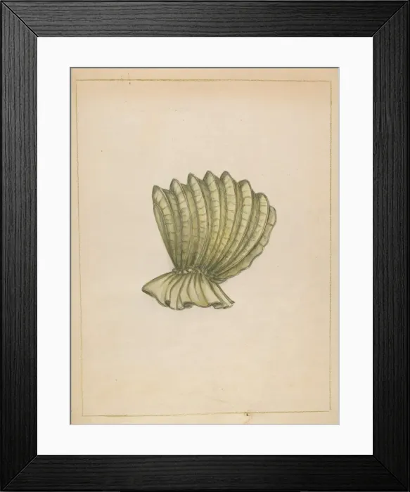 Framed Print : Calash, c. 1936. Creator: Fanchon Larzelere Framed Print : Calash, c. 1936. Creator: Fanchon Larzelere