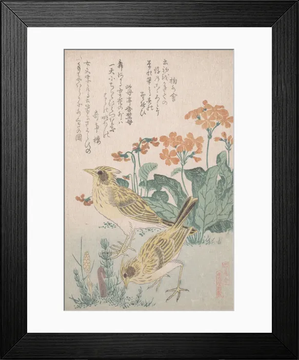 Framed Print : Skylarks and Primroses... ca. 1805-10. Creator: Kubo Shunman Framed Print : Skylarks and Primroses... ca. 1805-10. Creator: Kubo Shunman