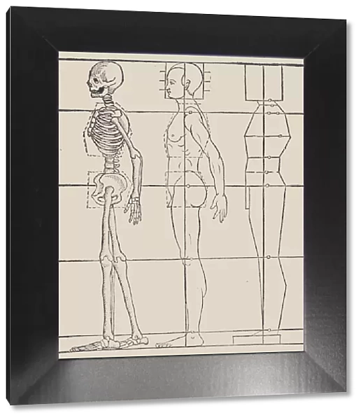 Anatomical illustration, 1564. Creator: Heinrich Lautensack