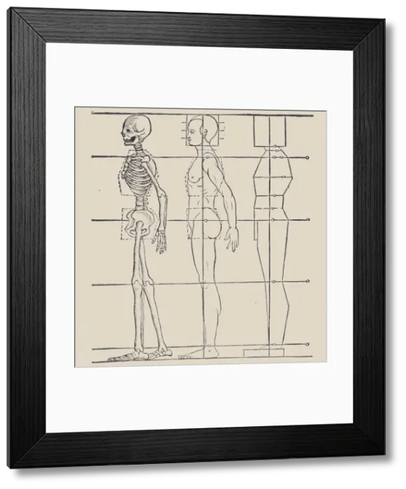 Framed Print : Anatomical illustration, 1564. Creator: Heinrich Lautensack Framed Print : Anatomical illustration, 1564. Creator: Heinrich Lautensack