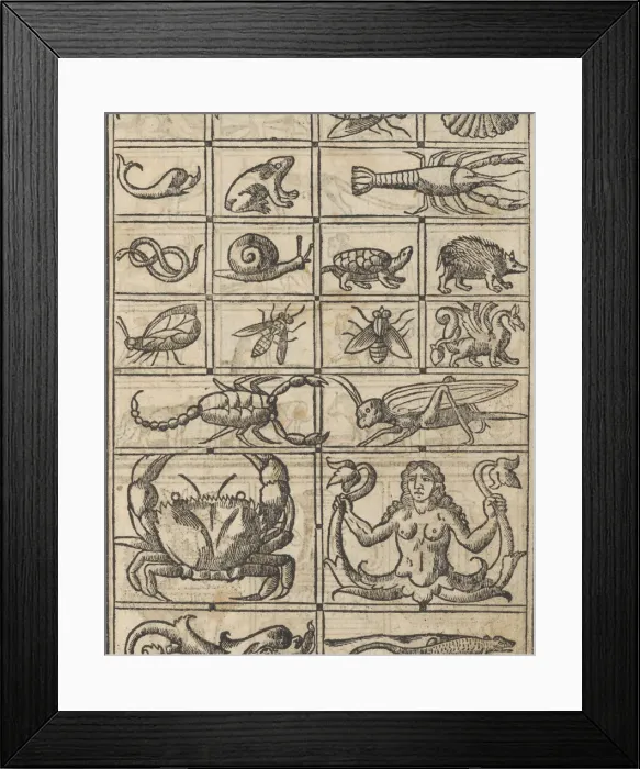 Framed Print : Essempio di recammi, page 11 (recto), 1530. Creator: Giovanni Antonio Tagliente Framed Print : Essempio di recammi, page 11 (recto), 1530. Creator: Giovanni Antonio Tagliente