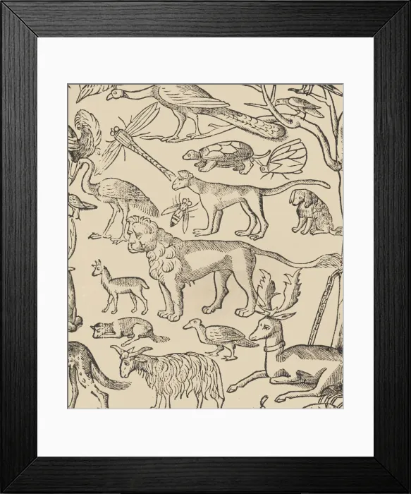 Framed Print : Essempio di recammi, page 13 (recto), 1530. Creator: Giovanni Antonio Tagliente Framed Print : Essempio di recammi, page 13 (recto), 1530. Creator: Giovanni Antonio Tagliente