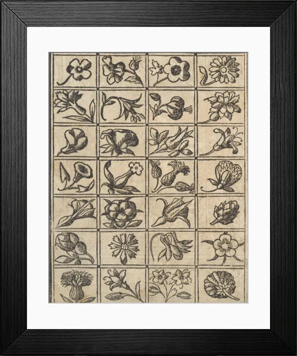 Framed Print : Essempio di recammi, page 10 (verso), 1530. Creator: Giovanni Antonio Tagliente Framed Print : Essempio di recammi, page 10 (verso), 1530. Creator: Giovanni Antonio Tagliente