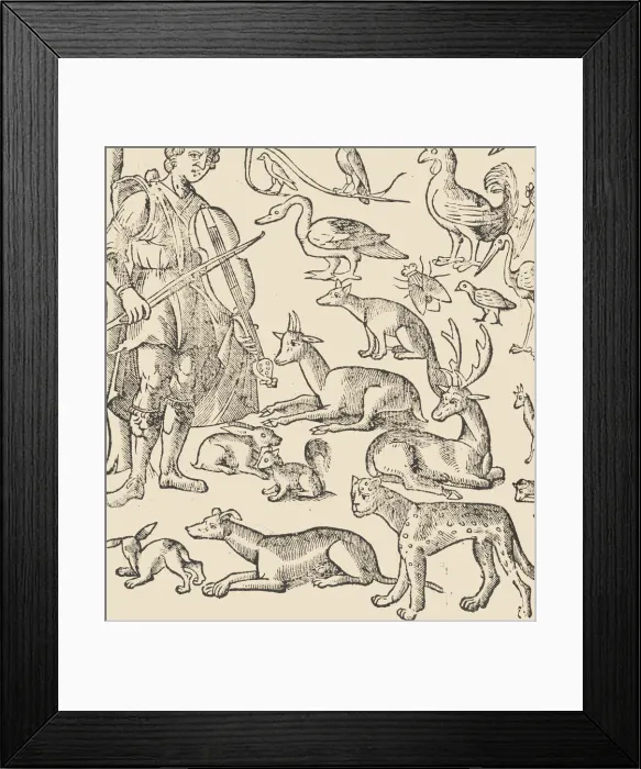 Framed Print : Essempio di recammi, page 12 (verso), 1530. Creator: Giovanni Antonio Tagliente Framed Print : Essempio di recammi, page 12 (verso), 1530. Creator: Giovanni Antonio Tagliente
