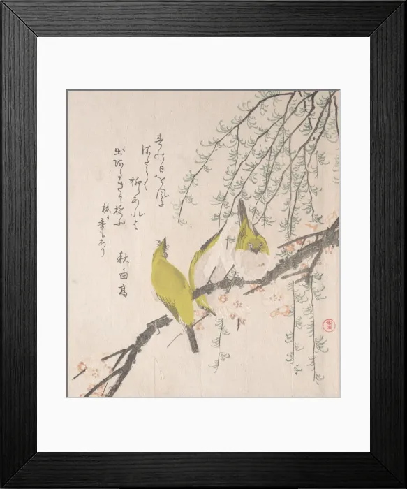 Framed Print : Japanese White-eyes with Plum Tree and Willow... ca. 1810. Creator: Kubo Shunman Framed Print : Japanese White-eyes with Plum Tree and Willow... ca. 1810. Creator: Kubo Shunman