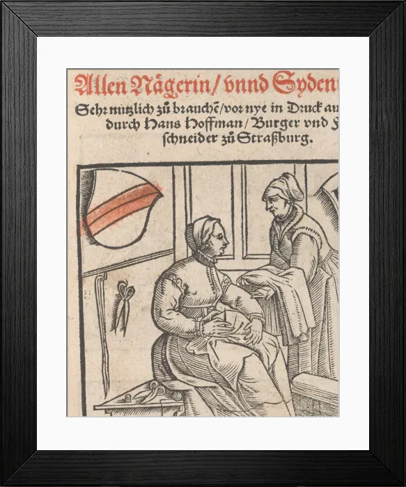 Framed Print : New Modelbüch allen Nagerin u. Sydenstickern (title page, 1r), 1556. Creator: Hans Hoffman Framed Print : New Modelbüch allen Nagerin u. Sydenstickern (title page, 1r), 1556. Creator: Hans Hoffman