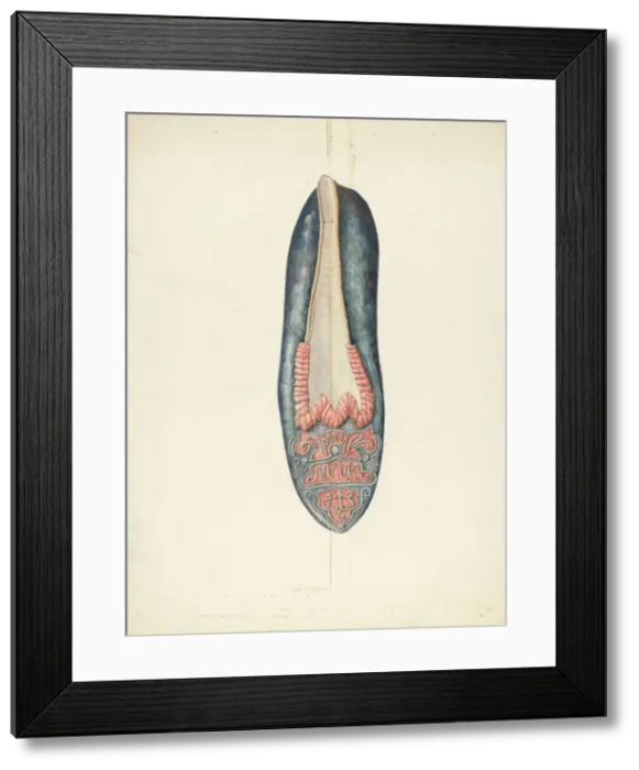 Framed Print : Evening Slipper, 1935 / 1942. Creator: William Kieckhofel Framed Print : Evening Slipper, 1935 / 1942. Creator: William Kieckhofel