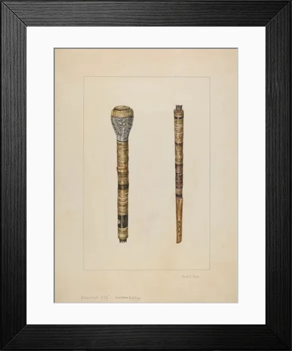 Framed Print : Cowhorn Cane, 1935 / 1942. Creator: Frank J Mace Framed Print : Cowhorn Cane, 1935 / 1942. Creator: Frank J Mace